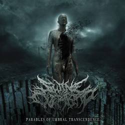 Swine Overlord : Parables of Umbral Transcendence